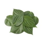 Betel Paan Leaves 1 PKT-min