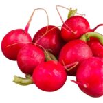 Red Radish Bag 1LB Bag-min